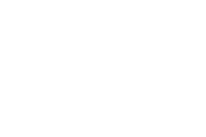 AI VIET NAM
