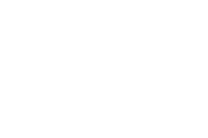 GDSC University of Warsaw, University of Warsaw Students' Council