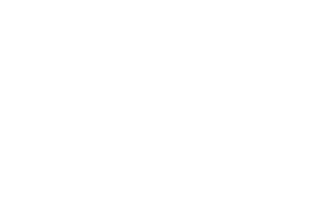 heineken_logo_white