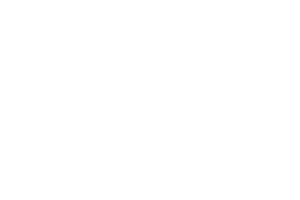 The Phoenix Guild